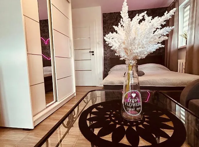 Apartment New Classic 30m. *